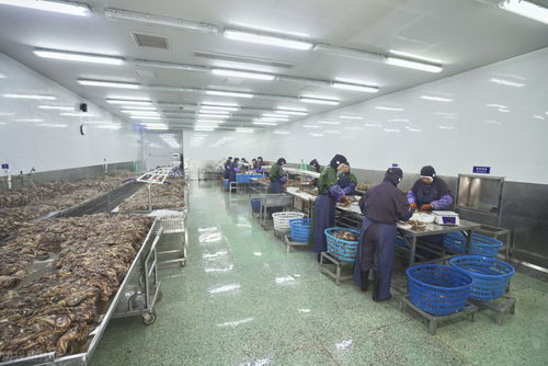 年后工厂招工难与农民工就业困境 旅游业的启示与出路